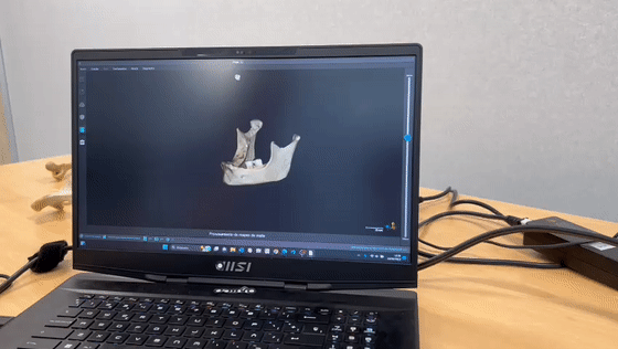 How Scantech’s 3D Scanner Helps CEU Cardenal Herrera University Build a Digital Bone Repository