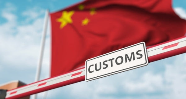 Agente Aduanero: Clave para Optimizar los Procesos de Importación y Exportación