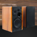 Tomato Speaker Audio Monitor with Bluetooth Professional Black 110V/220V Portable Speaker Speaker