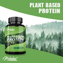 Plant Based Protein Supplement - Promotes Digestion and Intestinal Health, Boosts Immunity, Antioxidant - 120 Capsules