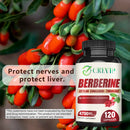 Berberine Supplement - Ceylon Cinnamon, Turmeric - Digestive Health, Antioxidant - 120 Capsules