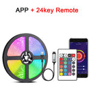 44631211049183|44631211081951|44631211114719|44631211147487|44631211180255|44631211213023