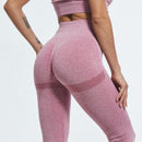 SALSPOR Women Seamless Gym Leggings Push Up High Waist Sports Women Fitness Stretch Running Quick-drying Leggins Femme Trousers