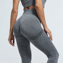 SALSPOR Women Seamless Gym Leggings Push Up High Waist Sports Women Fitness Stretch Running Quick-drying Leggins Femme Trousers