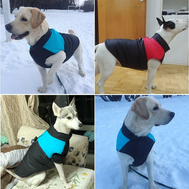 CDDMPET 6XL 7XL Winter Warm Dog Clothes Waterproof Pet Padded Vest Zipper Jacket Coat For Large Dogs Labrador Husky