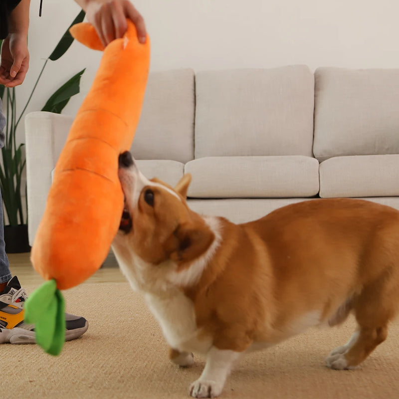 HOOPET Dog Toy Pet Carrot Plush Toy Vegetable Chew Toy for Small Medium Large Dogs Pet Sound Playing Toy Dog Accessories