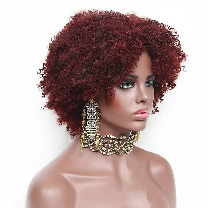 MSIWIGS Short Afro Kinkly Curly Synthetic Wig for Women Black African American Lady Daily Brown Red Headgear Heat Resistant