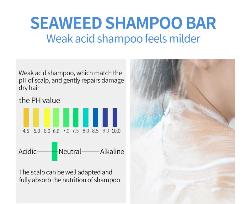 PURC Hair Shampoo Seaweed Shampoo Bar Vegan and Seaweed Handmade Cold Processed No Chemicals Hair Care