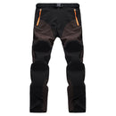 44499648381151|44499648413919|44499648446687|44499648479455|44499648512223|44499648544991|44499648577759