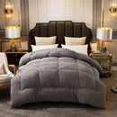 Autumn Winter Thicken Warm Lamb Wool Quilt Blanket Single Double King Queen Bed Cover Bedding Comforter Home Hotel Duvets