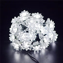 44442710147295|44442710180063|44442710212831|44442710245599|44442710278367