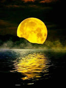 44499661095135|44499661127903|44499661160671|44499661193439|44499661226207|44499661258975|44499661291743|44499661324511|44499661357279|44499661390047|44499661422815|44499661455583|44499661488351|44499661521119