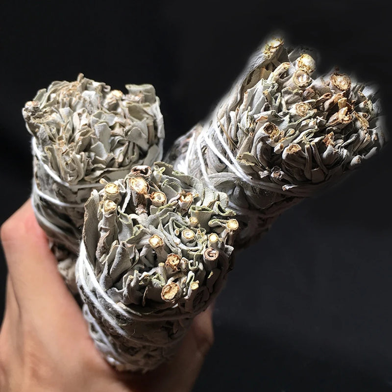 Natural White Sage Bundles Smudge Sticks Indoor Purification Smoking Aroma Leaf Bundle Sage Smudge Sticks for Home Cleansing