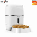 44457743450335|44457743483103|44457743515871|44457743548639|44457743581407|44457743614175|44457743646943|44457743679711|44457743712479|44457743745247|44457743778015|44457743810783