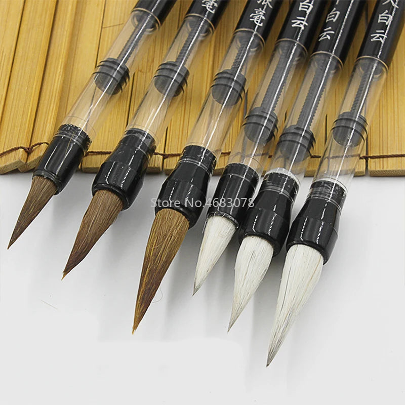 3pcs /Set Adjustable Piston Water Writing Brush Pen Chinese Calligraphy Beginner Weasel Hair Pen and Wool Pen