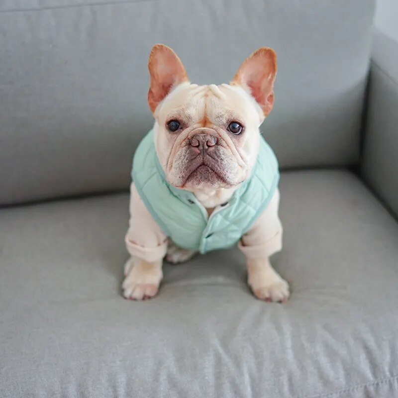 [MPK Store] New Dog Vest with Buttons, French Bulldog Vest, English Bulldog Vest, Dog Clothes