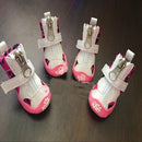 44421386633439|44421386666207|44421386698975|44421386731743|44421386764511