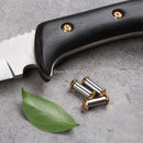2sets M4 Knives screw Rivet For DIY tools material Knife handle plate Fastening Plum style Furniture processing screw
