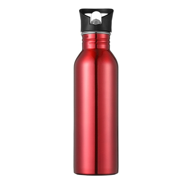 750ml Sports Outdoor Straw Water Bottle 304 Stainless steel Portable Handle Lid Water Bottle With Mountaineering Buckle Kettle