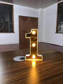 44543022399711|44543022432479