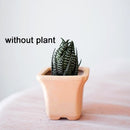 New Creative Planet ceramic pot succulent pots balcony decorations macetas de ceramica desktop decor Mini plant flowerpot garden