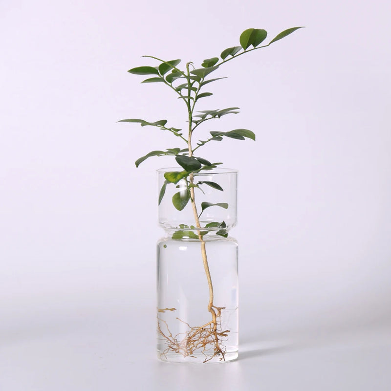 Clear Glass Hyacinth Vase Transparent Flower Plant Bottle Pot DIY Ornaments Home Living Room Garden Decoration Desk Decors 15cm