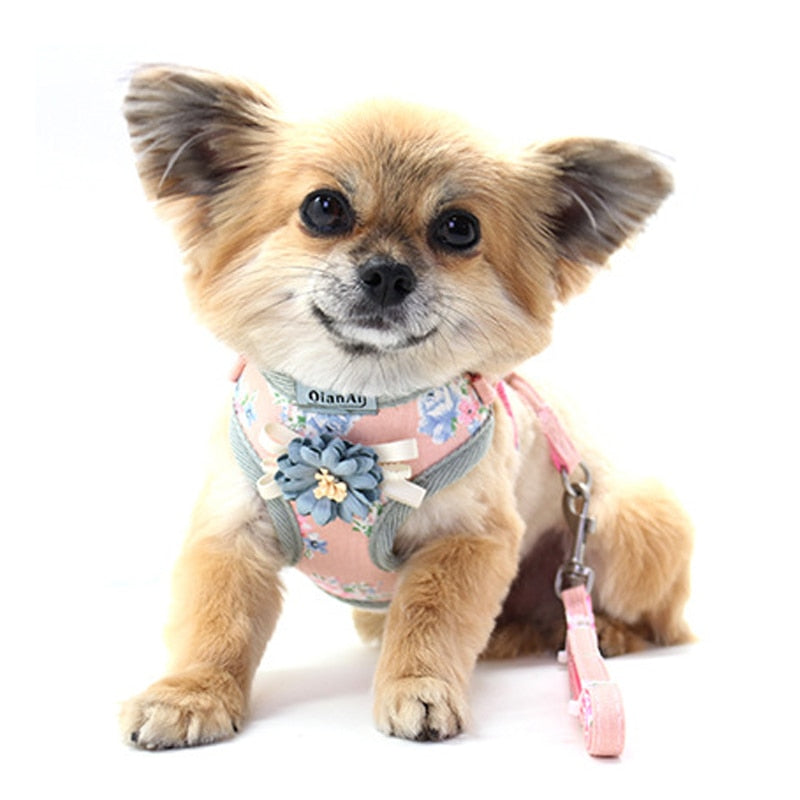 Dog Harness Leash Set Fashion Lovely Floral Breathable Adjustable Cat Harness Vest for Small Medium Dogs Cats Leashes Outdoor