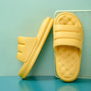 44474063487199|44474063519967|44474063552735|44474063585503|44474063618271|44474063651039