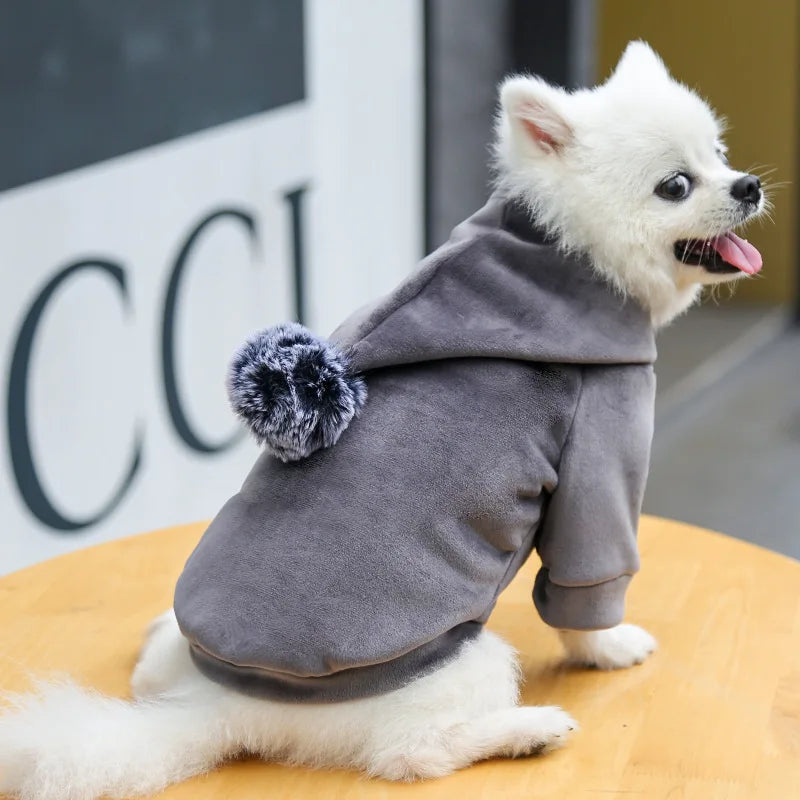 Clothes For Pets  Hooded Golden Velvet Thickened Dog Clothes Autumn and Winter New Two Legged  Sweater For Cats and  Dogs Warm