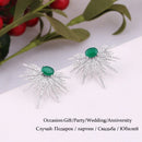 New Arrival Earrings For Women Temperament White Zircon Rhinestones Unique Design Brand Earings Fashion Jewelry Bijoux AE210