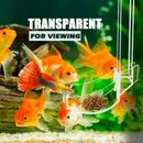 Aquarium Feeding Tube Clear Fish Tank Shrimp Feeder Tube Tray Clear Fish Tank Shrimp Feeder Tube Tray And Feeding Dish Set For