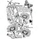 Silicone Clear Stamps 2023 New Reusable Garden Daisies Handmade DIY Embossing Making Scrapbooking Photo Album Crafts