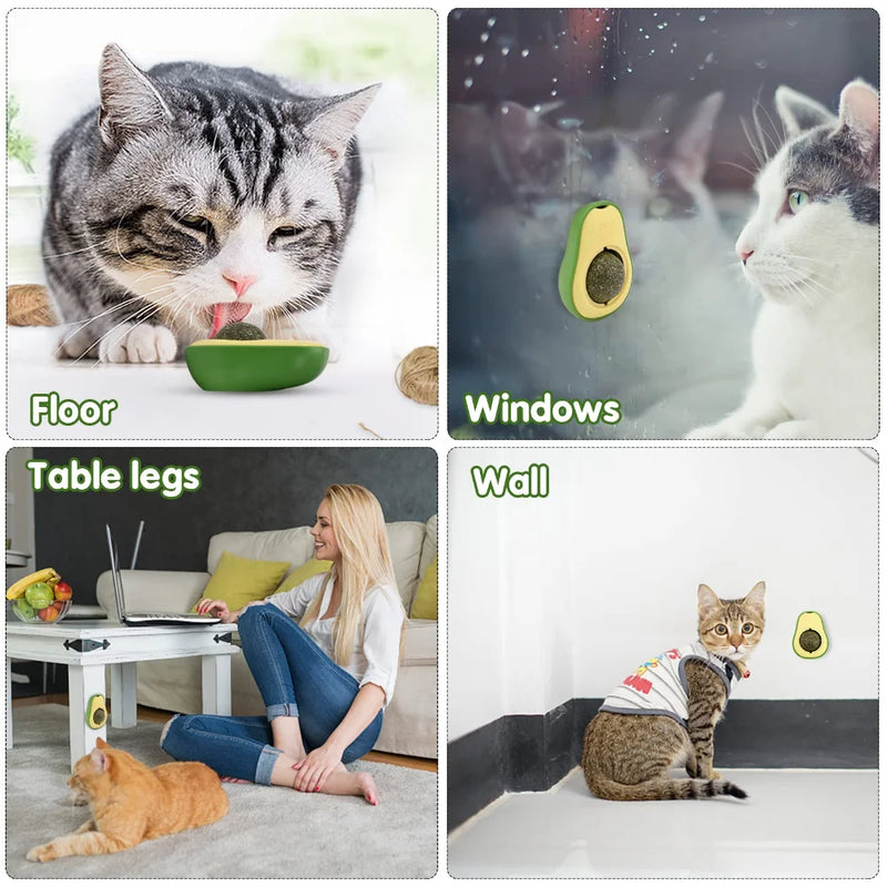 Avocado catnip licking ball toys for cats free shipping nartual catnip ball 360° wall stick on cat toy interactiv gato supplies