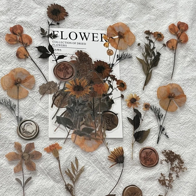 Vintage Dried Flower PET Sticker Decorative Diary Craft Scrapbooking Planner Diary Junk Journal Sticker Aesthetic Stationery