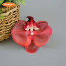 16Color Artificial Latex Phalaenopsis Butterfly Orchid Flowers Head DIY Wedding Christmas Decorative Shooting Props Accessories