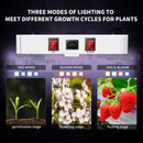 KINGLED Led Grow Light 1000W/2000W/3000W/4000W full spectrum Phytolamp for plants in grow tent greenhouse grow box
