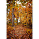 Autumn Landscape Backdrop Fall Forest Maple Fallen Leaves Nature Scenery Harvest Thanksgiving Portrait Photography Background