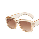 45665137066207|45665137098975