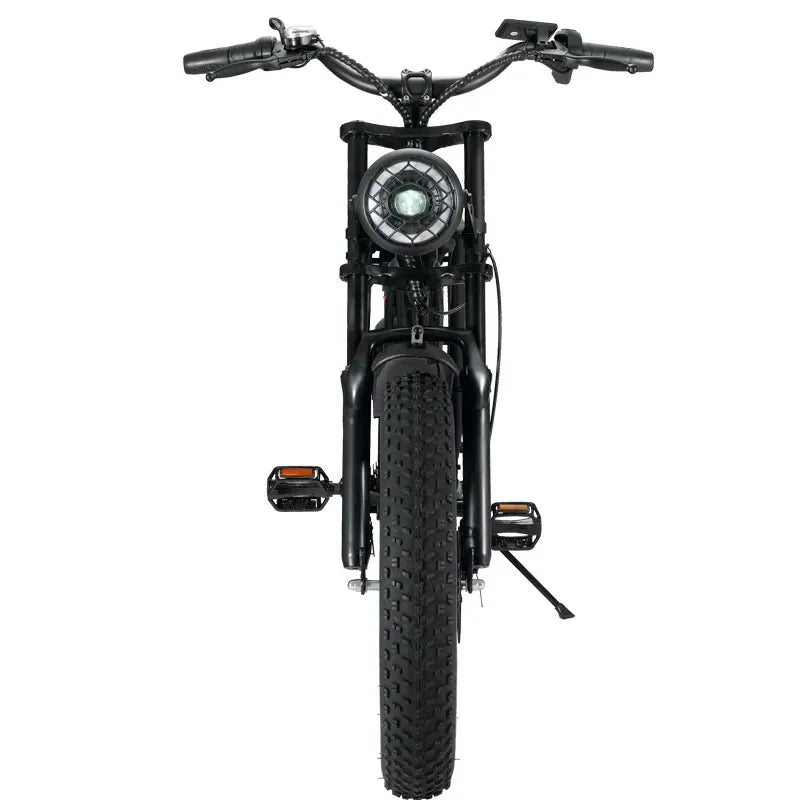 2023 Top Rated 20Inch ebike fat tire E-Bike 48V 1000w Powerful Electric bike