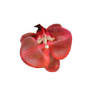 16Color Artificial Latex Phalaenopsis Butterfly Orchid Flowers Head DIY Wedding Christmas Decorative Shooting Props Accessories