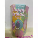 Genuine Sonny-Angel Festival Style Candy Charm Basic Series Meow Meow Daily 2016 -2022 Christmas Easter Brand New Series