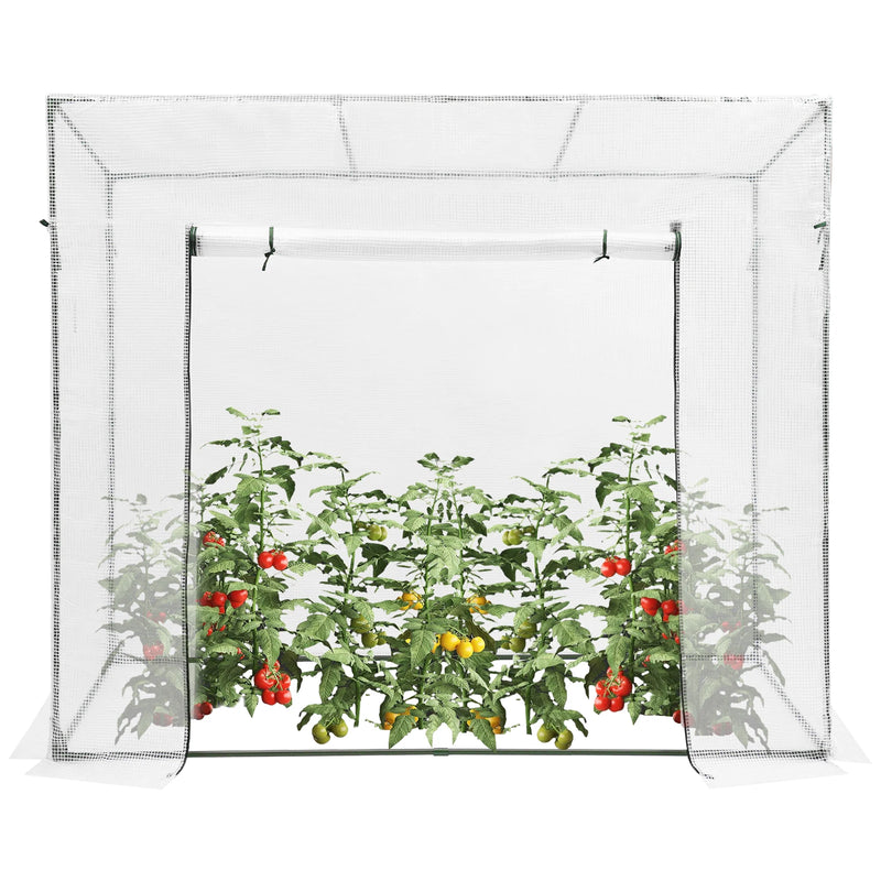 Plant Green House, Green House Kit with Window, Greenhouse for Outdoors