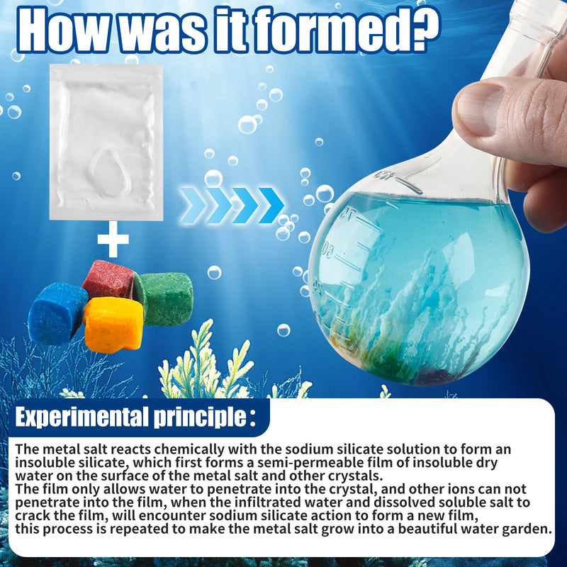 DIY Water Magic Mini Growth Stones, Science Toys, Christmas/Halloween/Thanksgiving/Easter/New Year Gifts