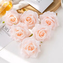 44612961632479|44612961665247