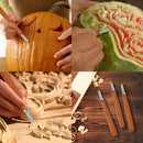10Pcs Wood Carving Tools Set with Detail Wood Carving Knife Wood Chisel Knife Gloves Carving Knife Sharpener for Spoon Bowl Cup