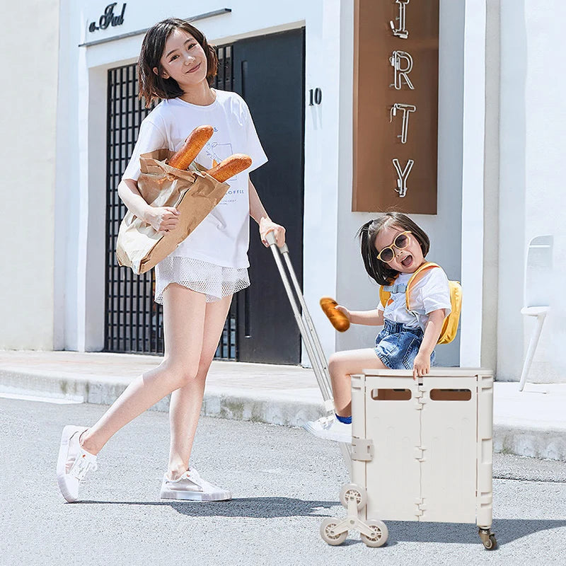 Lightweight Brushed Trolley Luggage Trolley Express Folding Shopping Cart for Climbing Stairs Home Hand Pull