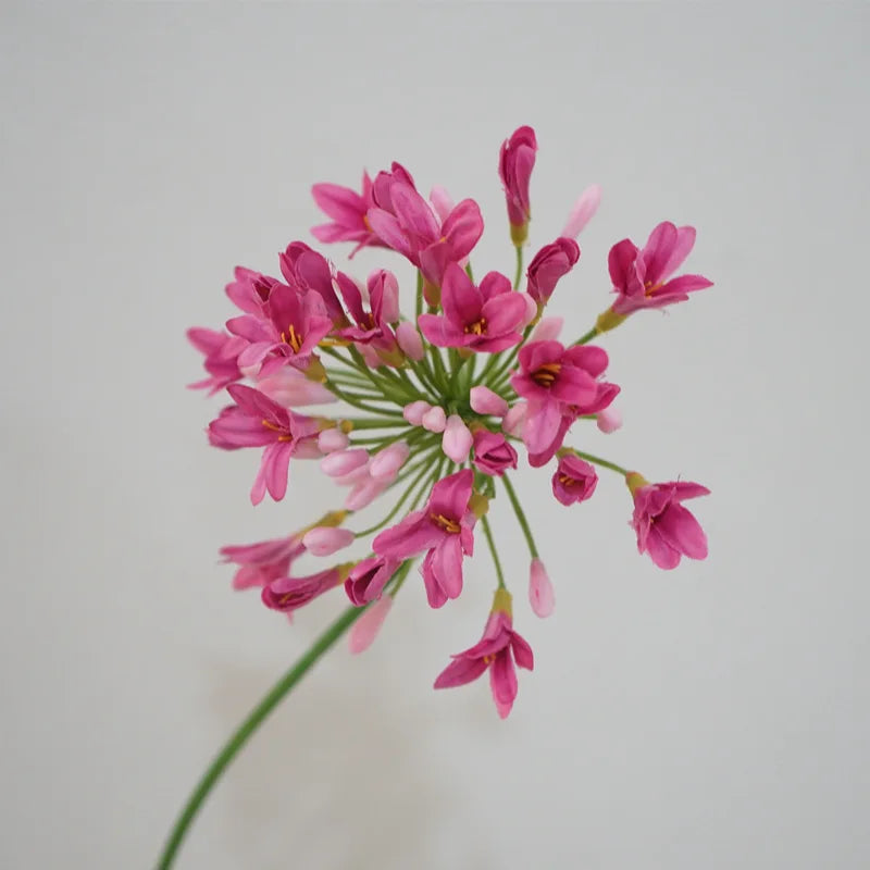 Luxury African agapanthus branch home table decoration silk artificial flowers Photo props hotel decor flores artificiales