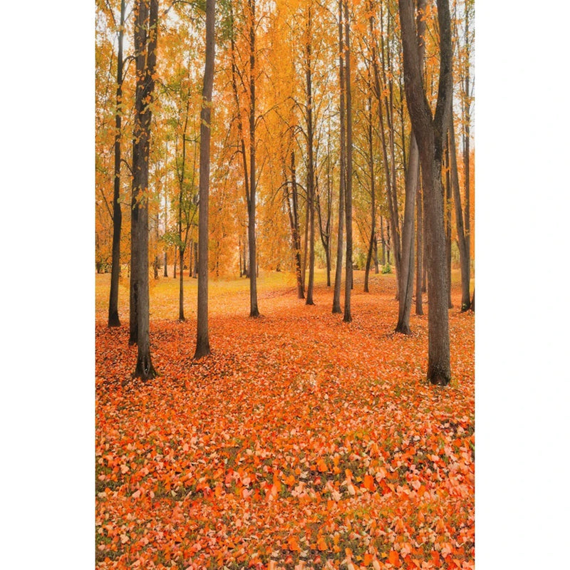 Autumn Landscape Backdrop Fall Forest Maple Fallen Leaves Nature Scenery Harvest Thanksgiving Portrait Photography Background