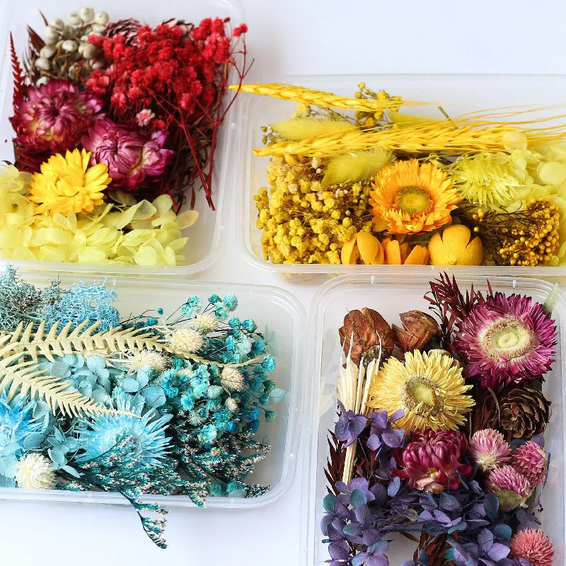 1Box Dried Flowers Dry Plants for Epoxy Resin Casting Mold DIY Aromatherapy Candle Molds Crafts Tools Jewelry Making Accessories