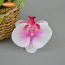 16Color Artificial Latex Phalaenopsis Butterfly Orchid Flowers Head DIY Wedding Christmas Decorative Shooting Props Accessories